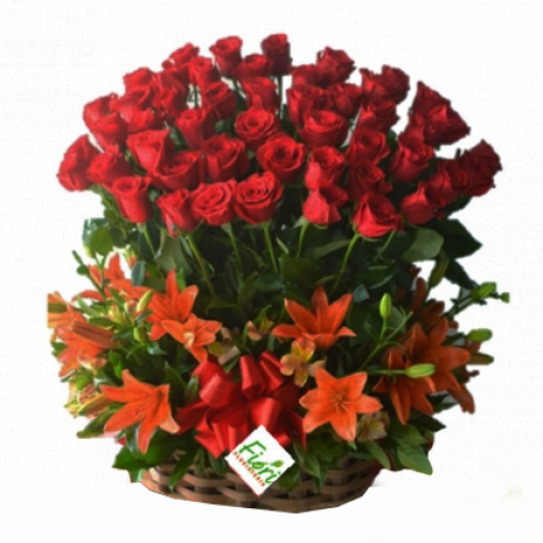 Rosas 10