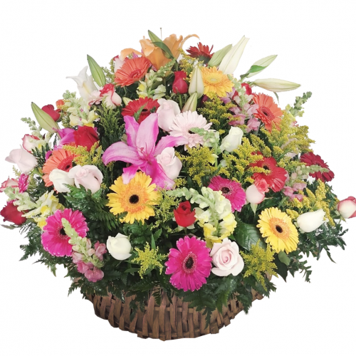 ALEGRÍA EN GERBERAS EN GRANDE