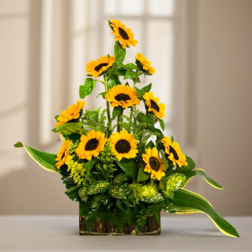 Girasoles para Tí