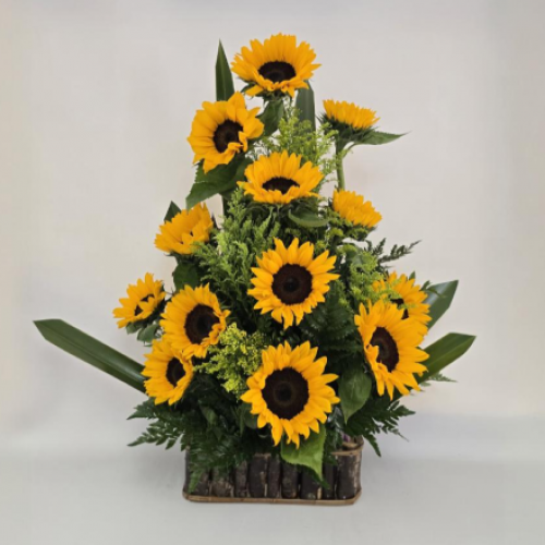Girasoles para Tí
