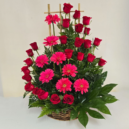 Para ti estas Rosas