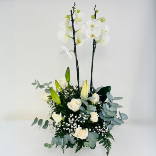 Orquideas con Rosas y Lirios